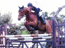 Helphi du Routhou, D1p GP, IPO 136 en 2002